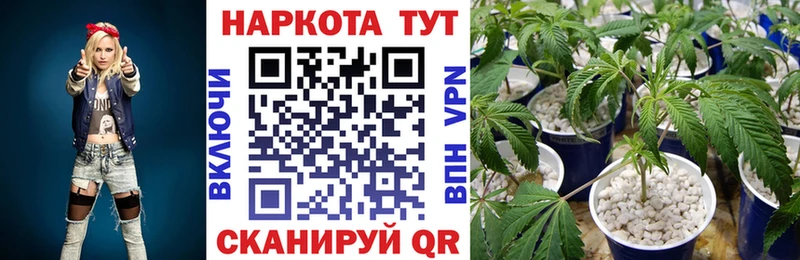 Цена Киреевск АМФ  Мефедрон  СК  ГАШИШ  Конопля 