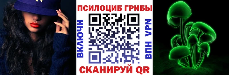 блэк спрут маркетплейс  Киреевск  Галлюциногенные грибы Psilocybine cubensis  наркота 